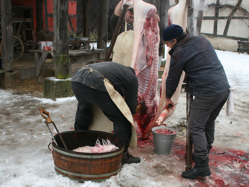 Click to enlarge image soi-12.JPG