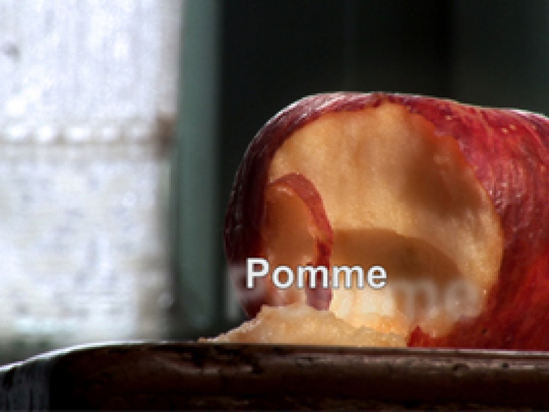 Tranche de vie en milieu rural &ndash; Pomme